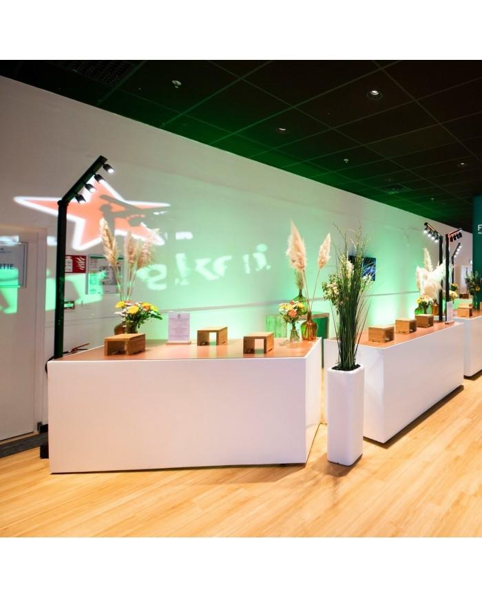 BT-AKKUPOLE Palo LED DMX Wireless a Batteria con proiettori 4x5W bianchi