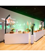 BT-AKKUPOLE Palo LED DMX Wireless a Batteria con proiettori 4x5W bianchi BT-AKKUPOLE Palo LED DMX Wireless a Batteria con proiettori 4x5W bianchi