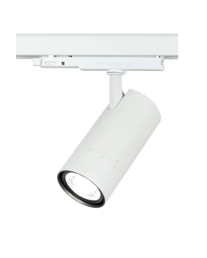 Newark 30 W CCT Zoom 20°–60° binario trifase