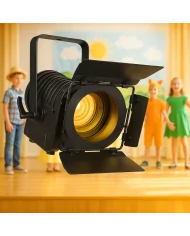 Faretto Teatro BT-THEATRE 20WW