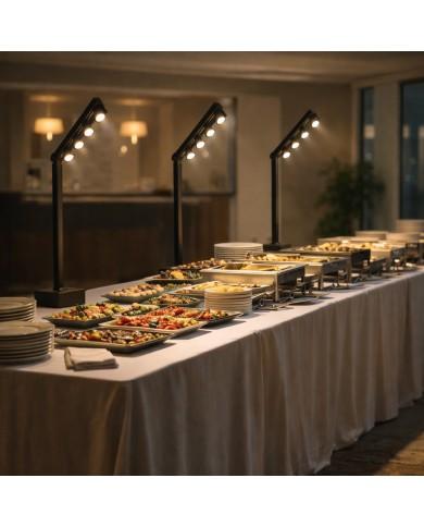 Flightcase for 4 complete BT-AKKUPOLE