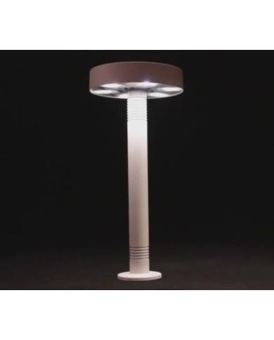 centrotavola a batteria Prolights