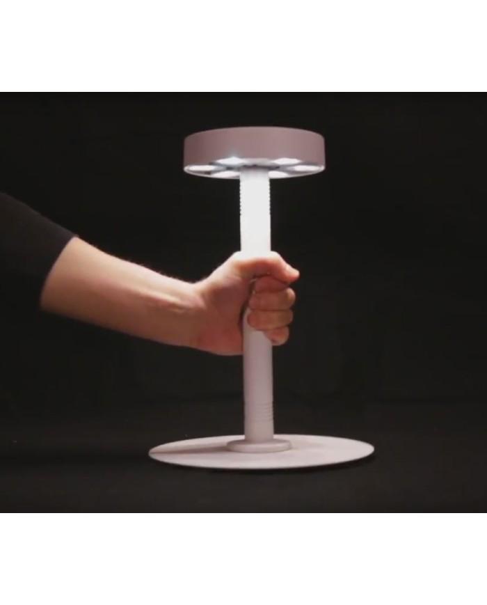 centrotavola a batteria Prolights centrotavola a batteria Prolights