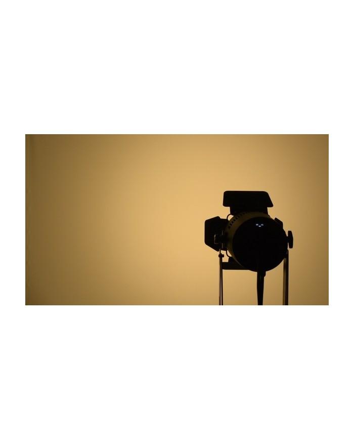 Faro LED professionale LED COB da 45W con temperatura colore 3200K ° Faro LED professionale LED COB da 45W con temperatura colore 3200K °