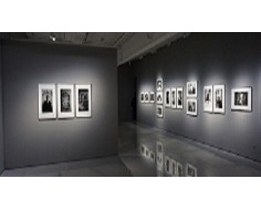 Luce Per Quadri A LED Faretti Industriali A Soffitto A Fascio Stretto Da 8°/15°/24°, Faretto A Montaggio Superficiale Da 3W 5W For Lampada Da