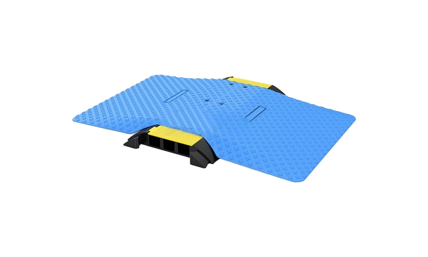 pedana disabili o carrozzine